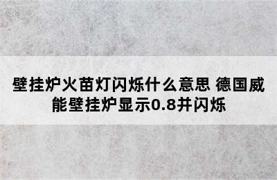 壁挂炉火苗灯闪烁什么意思 德国威能壁挂炉显示0.8并闪烁